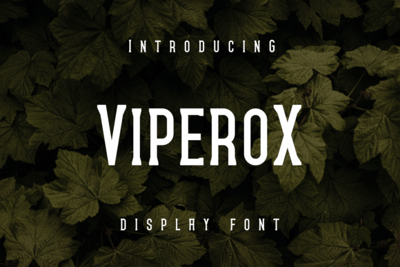 Viperox: A Bold, Confident Display Font